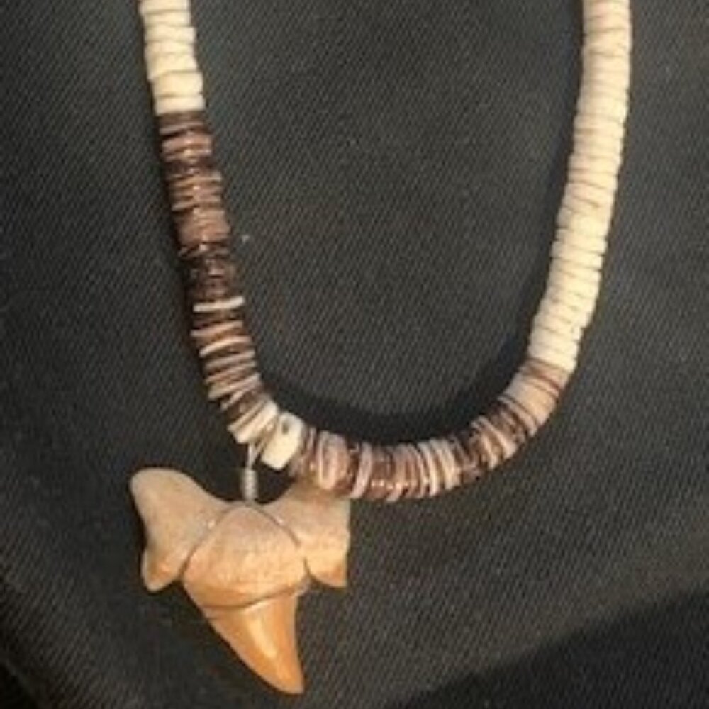 Price Drop -Necklace with shark tooth pendant